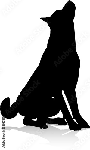 Dog Silhouette Pet Animal photo