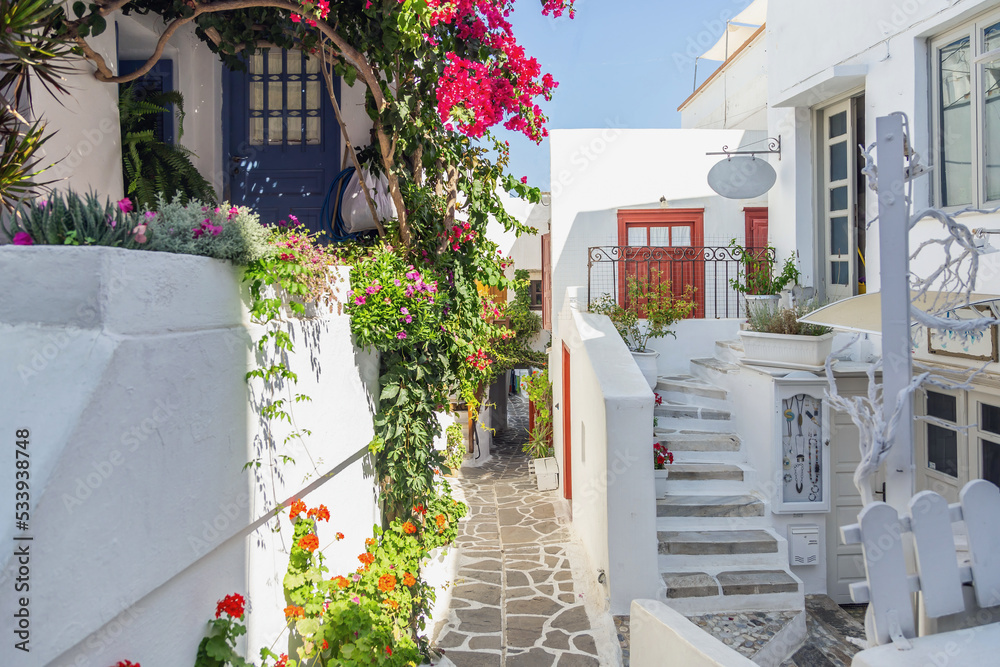 Naxos island Greece. Traditional whitewashed building plants and flowers souvenir shop paved alley. - obrazy, fototapety, plakaty 