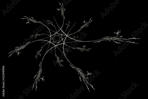 black and white flower Christmas shape graphic illustration fractal 