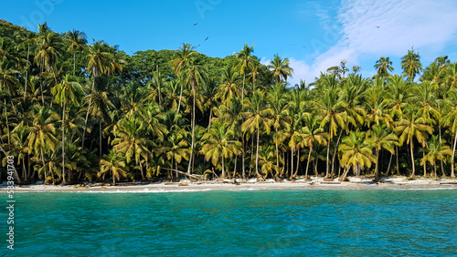 Playa blanca  Isla Gorogona   Colombia