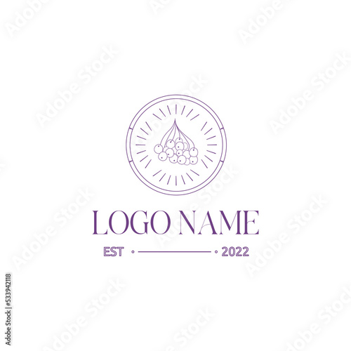 Hand drawn flat vector linear rowanberry logo with circle frame and abstract lines