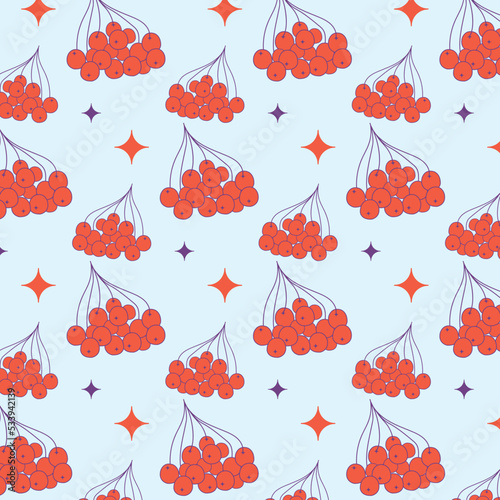 Hand drawn vector flat rowanberry and stars pattern backround