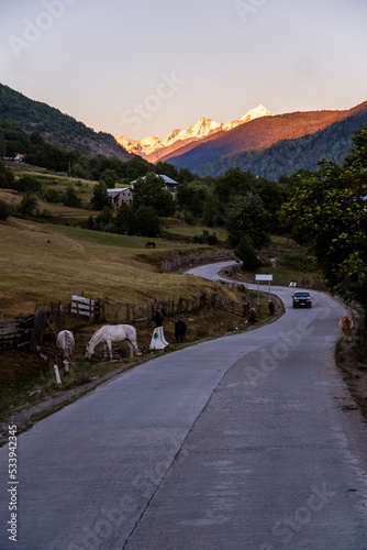 Mountain road with horse and car on the way to Mestia, Georgia
