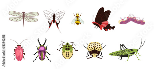 Set of different insects isolated on white background © tatianastulbo