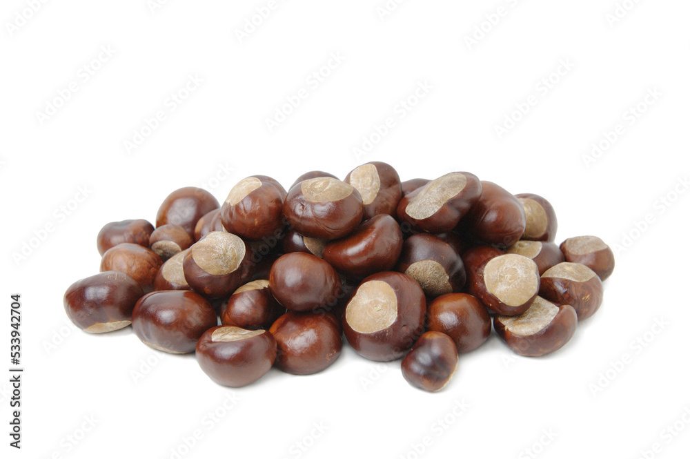 Horse chestnuts isolated on white background Horse chestnuts isolated on white background