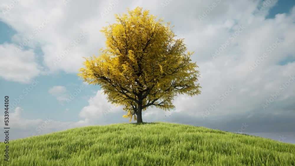 Autumn one tree hill Cloud motion nature landscape rural scene 4k Autumn one tree hill Cloud motion nature landscape rural scene 4k