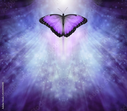 Photography Butterfly Message Board Template Background - blue purple sparkle symmetrical ra