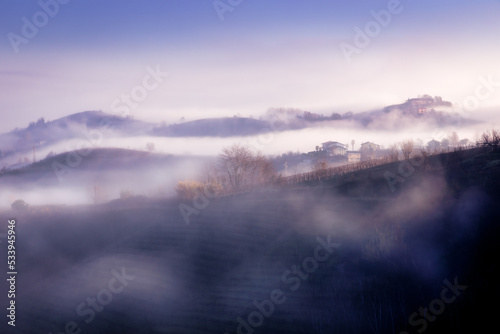 Sunrise over the vineyards, Canale, Province of Cuneo, Piedmont, Italy © Kim