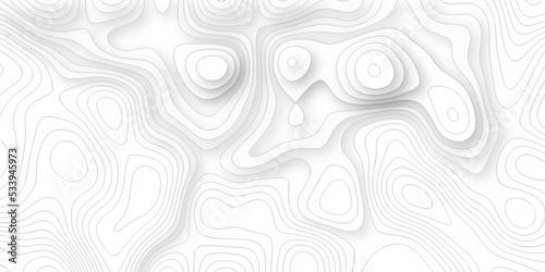 Topographic map background. silver line topography maount map contour background, geographic grid. Abstract vector illustration. 