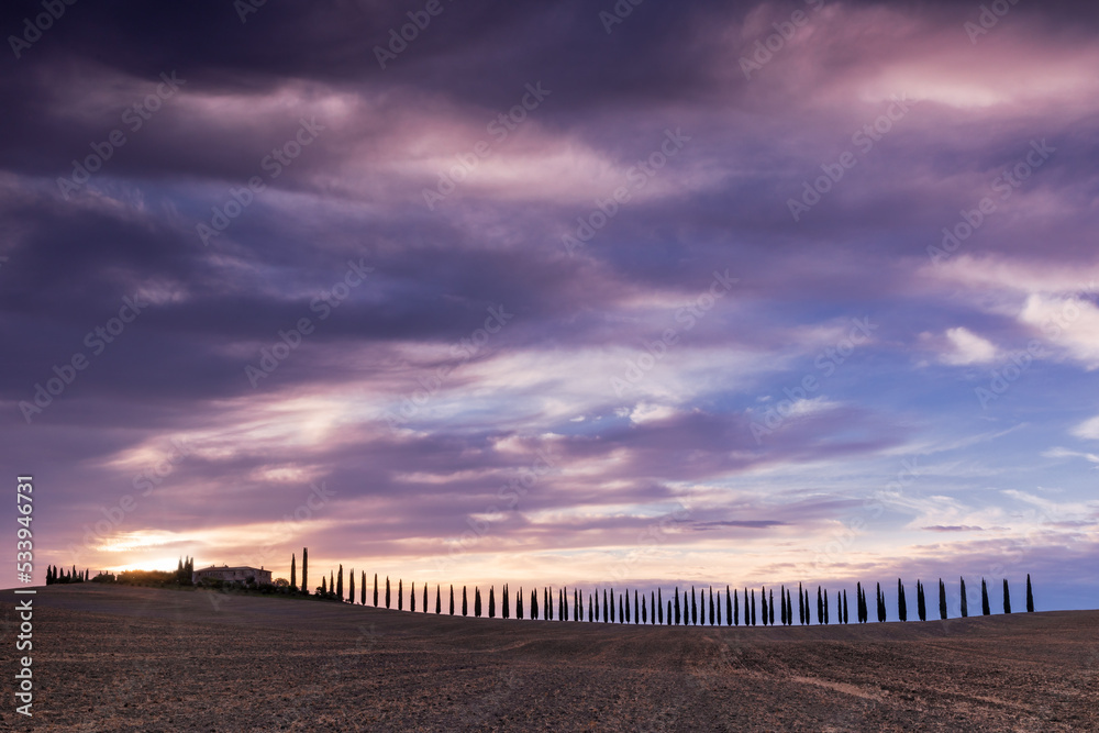 Tuscan landscape with cypress trees and farmstead at sunrise, San Quirico d'Orcia, Val d'Orcia, Tuscany, Italy