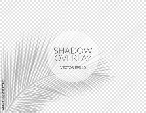 Realistic shadow. Vector with tropical leaf shadow overlays on transparent background
