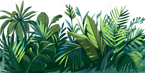 Palm leaves, tropical floral border. Color sketch illustration