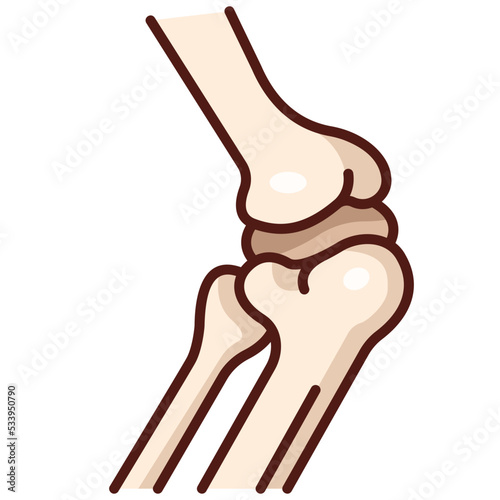 joint icon