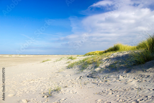 the dunes, Renesse, Zeeland, the Netherlands