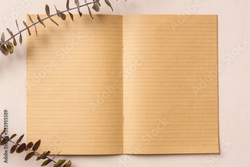 blank notebook with eucalyptus mock up on  pastel peach table Fototapeta