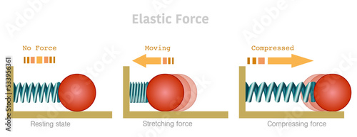 Foto Elastic force, stretch, resting, compressed tension