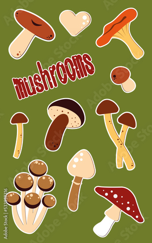 sticker pack with magic autumn mushrooms. Includes fly agaric, grebe mushroom, chanterelle mushroom, porcini mushroom and others