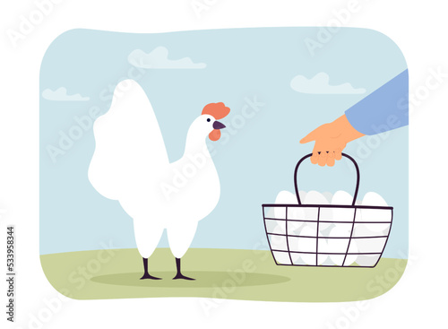 Farmers hand holding basket of chicken eggs near white hen. Person with poultry farm fresh products flat vector illustration. Organic food concept for banner, website design or landing web page