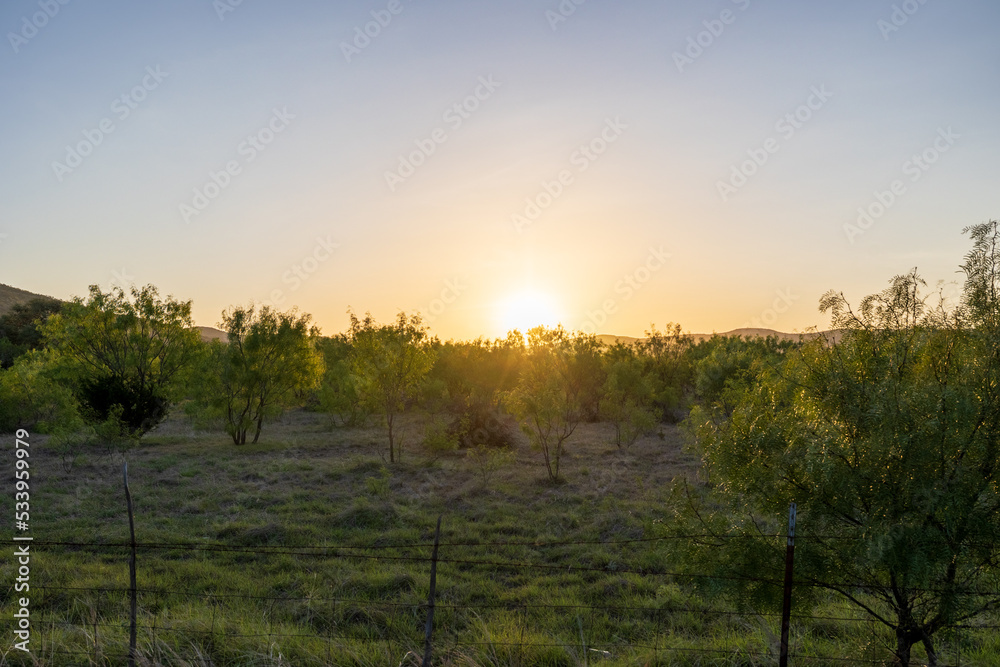 Sunrise coming over a South Texas field with a barb wire fence in the foreground
