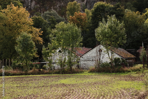 vieille fermette dans un bois