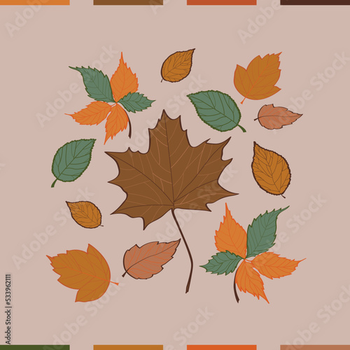 autumn colors, dry leaves, autumn leaves, mushrooms
