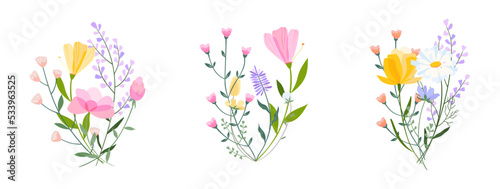 Vector floral bouquet illustration. Set of leaves, wildflowers, twigs, floral arrangements. Beautiful compositions of field grass and bright spring flowers.