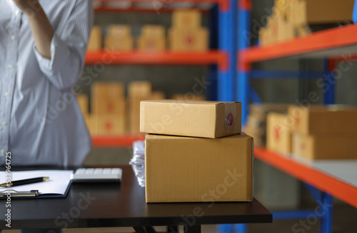 Female warehouse worker inspecting parcels on a shelf in a small warehouse. © Wasan