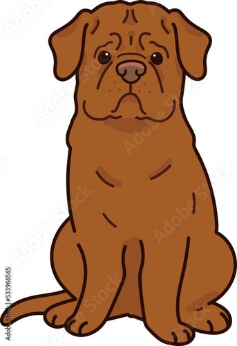 Simple and adorable French Mastiff illustration sitting in front view