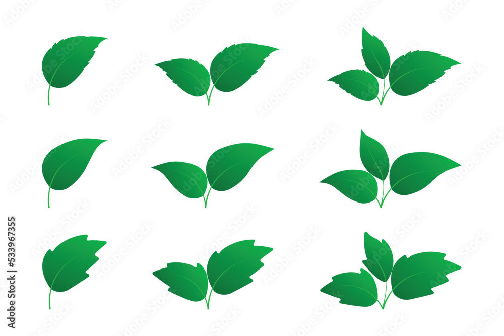 Set of green leaves icon isolated on white background. Various shapes of leaves icon. Design set of leaf in different shapes to use in environmental or healthy logos. Elements for eco and bio logos