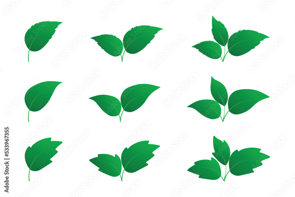 Set of green leaves icon isolated on white background. Various shapes of leaves icon. Design set of leaf in different shapes to use in environmental or healthy logos. Elements for eco and bio logos Set of green leaves icon isolated on white background. Various shapes of leaves icon. Design set of leaf in different shapes to use in environmental or healthy logos. Elements for eco and bio logos