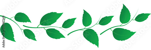 Pattern green leaves natural branches isolated on white background. Design set of leaf in to use in environmental or health logos. Elements for eco and bio logos