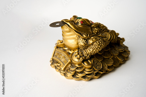 Chinese frog with coins on white background