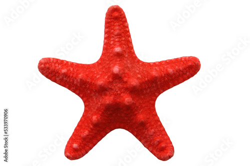 Fotografie, Obraz Red starfish  isolated on transparency photo png file