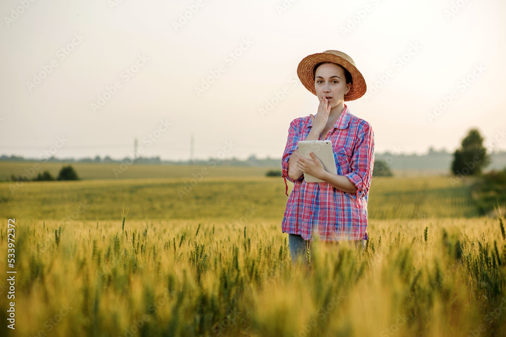Obraz premium A young fcrmer checks a grain field and sends data to the cloud from a tablet. Concept of smart farming and digital agriculture. Successful production and cultivation of organic food products
