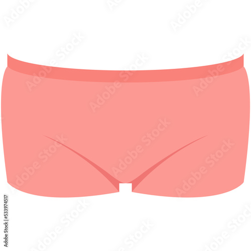 Shorts Vector Icon