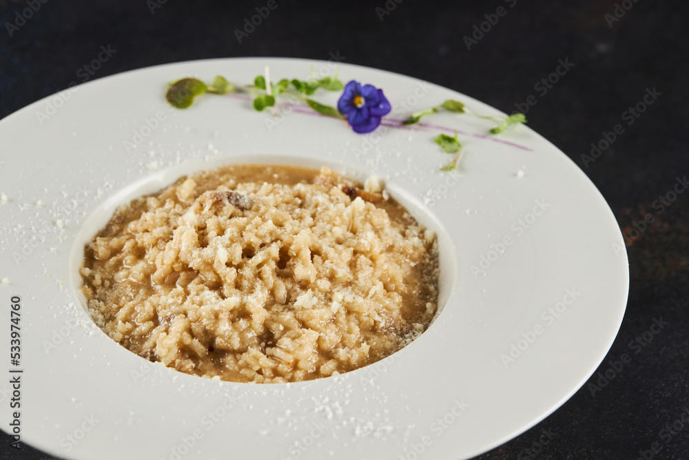 Porchini mushroom risotto on plate Porchini mushroom risotto on plate