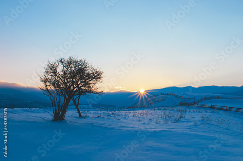 winter landscape with mountains on horizon. fir trees covered with snow. beautiful winter landscape. Carpathian mountains. Ukraine