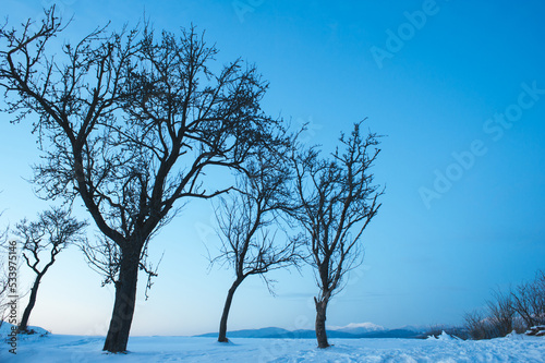 winter landscape with mountains on horizon. fir trees covered with snow. beautiful winter landscape. Carpathian mountains. Ukraine