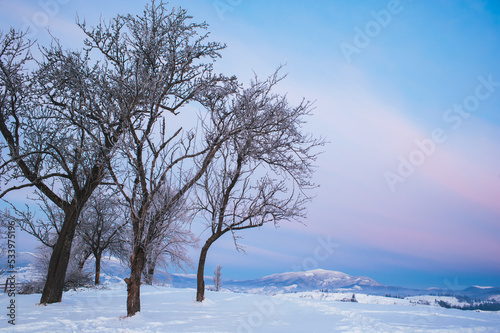 winter landscape with mountains on horizon. fir trees covered with snow. beautiful winter landscape. Carpathian mountains. Ukraine © ver0nicka