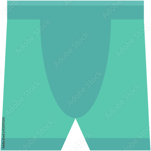 Shorts Vector Icon 