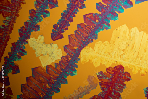 Chemical substance potassium chlorate made by a microscope in polarized light photo