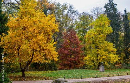 Colorful trees in the autumn park