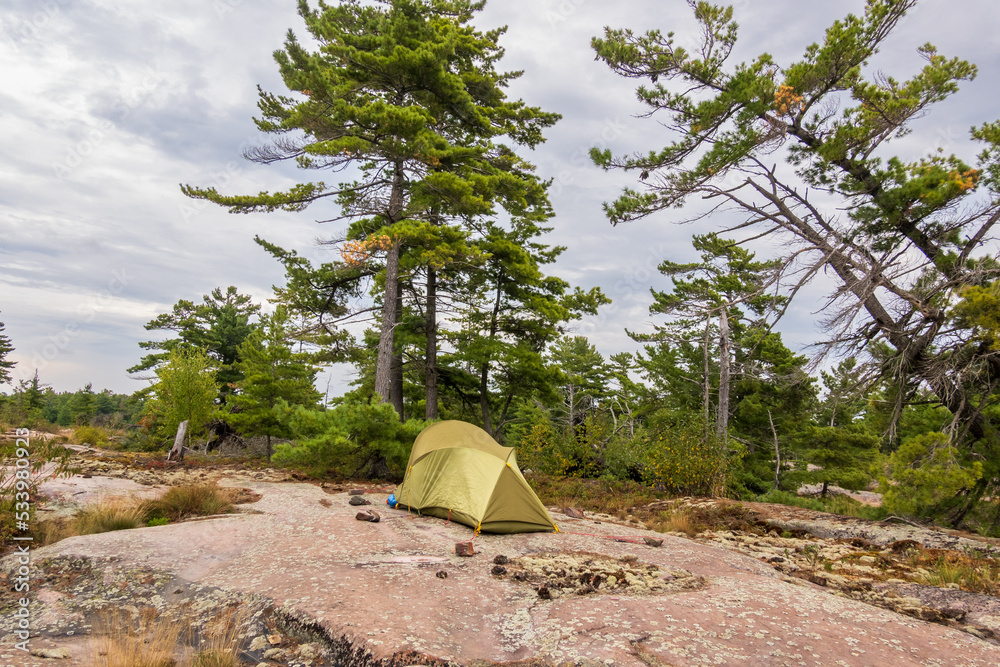 A green tent pitched on the rocky shore of Georgian Bay under a large pine tree