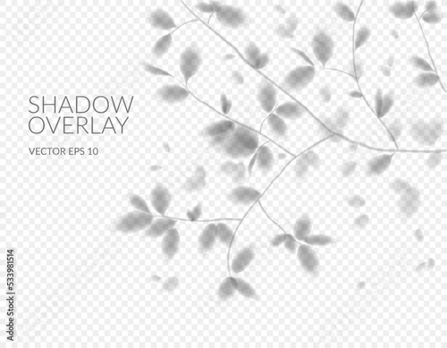 Realistic shadow. Vector with shadow overlays of tree branches with leaves on a transparent background