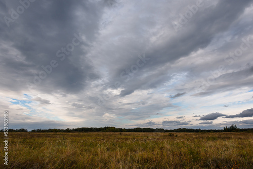 A beautiful cloudy sky over a field overgrown with grass and wildflowers. On the horizon, the autumn forest began to take on yellowish hues.