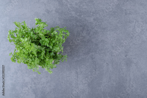 Organic parsley in the bowl, on the marble background
