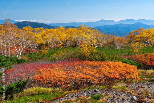 乗鞍エコーライン,位ヶ原お花畑の紅葉