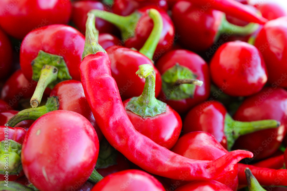 Mix of red hot peppers, spice vegetable fresh Mix of red hot peppers, spice vegetable fresh