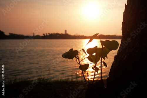 sunset at the lake 