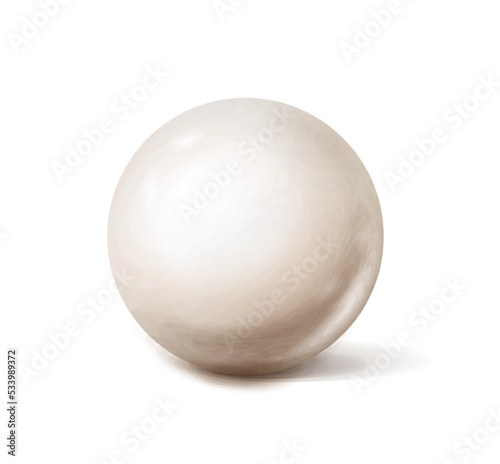Vector ralistic icon illustration. White sea pearl isolated on white background.